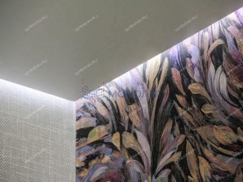 1-komnatnaya-derevnya-afonino-kstovskiy-rayon фото