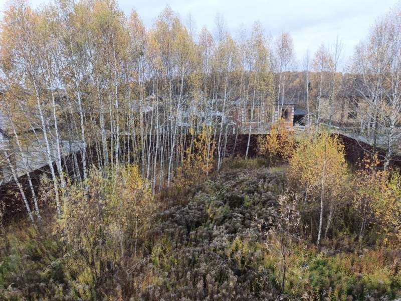 коттедж на  деревня Елевая