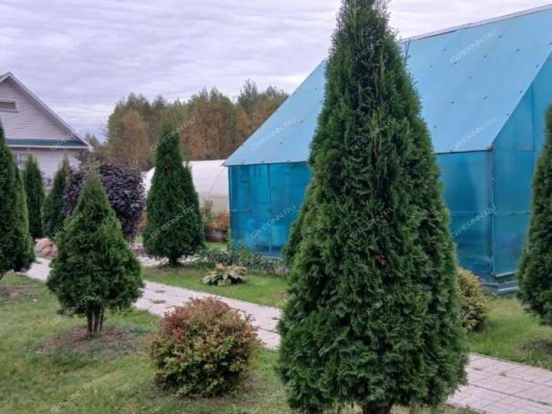 дом на  деревня Филино