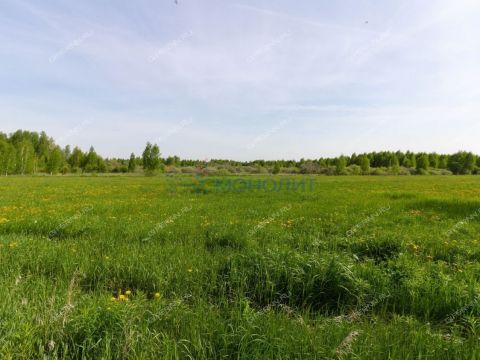 derevnya-kozhevennoe-bogorodskiy-municipalnyy-okrug фото