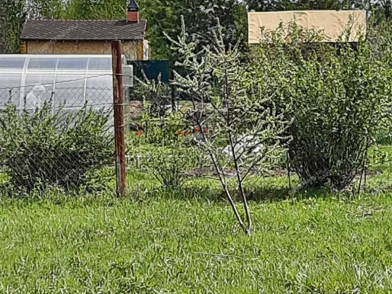 Купить Дачу В Лисьих Ямках Нижегородской Области
