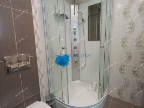 taunhaus-sl-verhnepecherskaya-d-421i фото