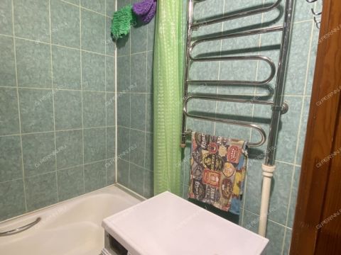 2-komnatnaya-ul-plotnikova-d-2 фото