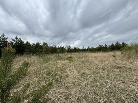 derevnya-nepecino-bogorodskiy-municipalnyy-okrug фото
