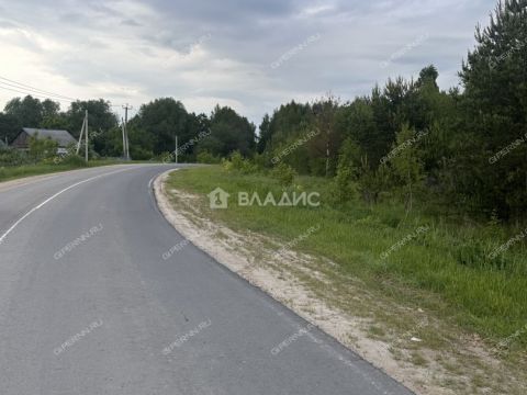 sherstnevo-gorodskoy-okrug-bor фото