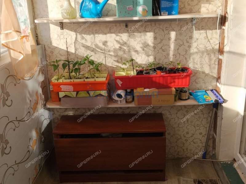 однокомнатная квартира на проспекте Бусыгина дом 56