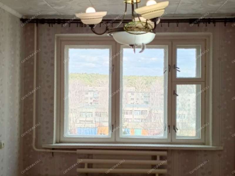 трёхкомнатная квартира в Центральном микрорайоне дом 9 город Выкса