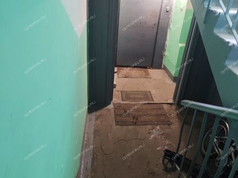 2-komnatnaya-ul-geroya-sovetskogo-soyuza-prygunova-d-13 фото