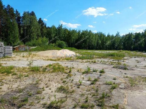 sh-moskovskoe-d-302e фото