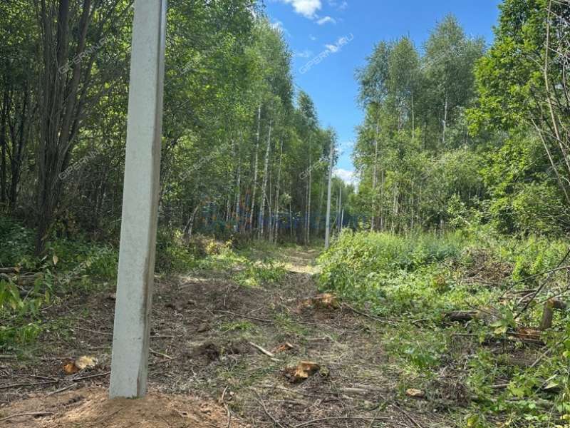 земельный участок 70 соток Цветаевой улица село Каменки