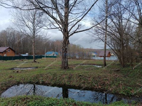 snt-stroitel-bogorodskiy-municipalnyy-okrug фото