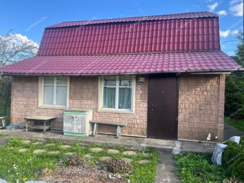 dacha-derevnya-temryashino-gorodskoy-okrug-bor фото