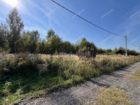 selo-arapovo-bogorodskiy-municipalnyy-okrug фото