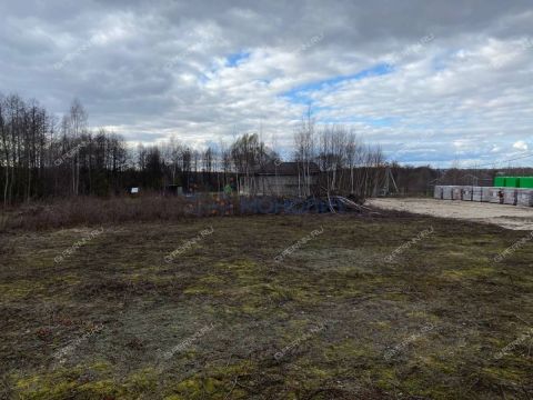 derevnya-gremyachki-bogorodskiy-municipalnyy-okrug фото