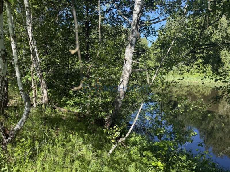 земельный участок под сельхоз назначение в Лысковском районе Нижегородской области