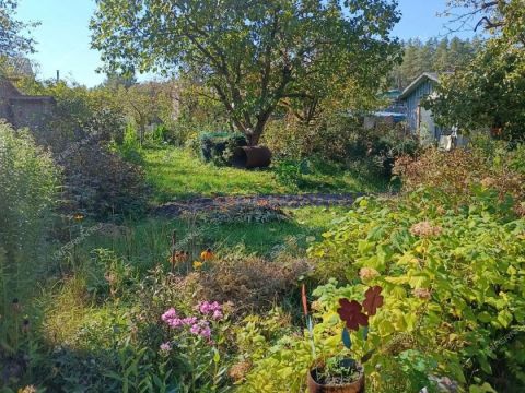 dacha-derevnya-strahovo-gorodskoy-okrug-bor фото