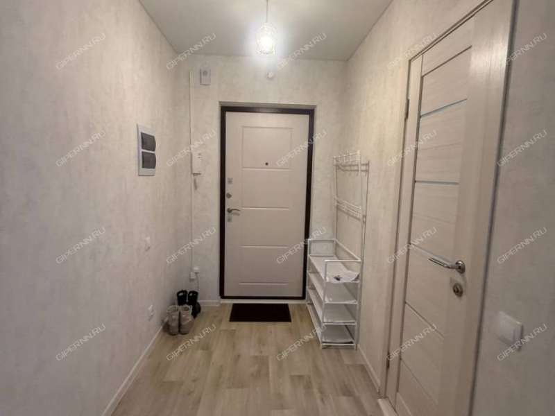 однокомнатная квартира на улице Бориса Видяева дом 28