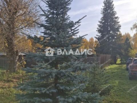 dom-dpk-malinovo-gorodskoy-okrug-chkalovsk фото