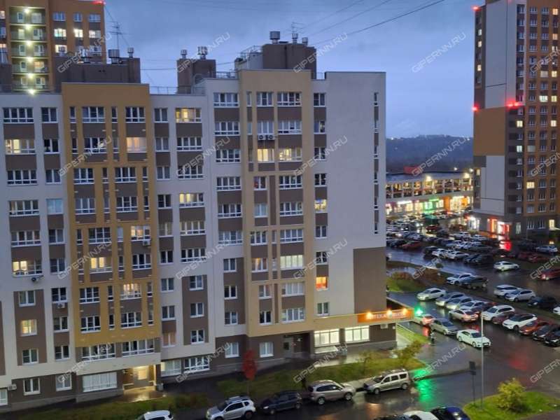 однокомнатная квартира на улице Романтиков дом 6