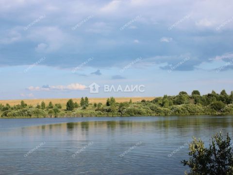 derevnya-inyutino-bogorodskiy-municipalnyy-okrug фото