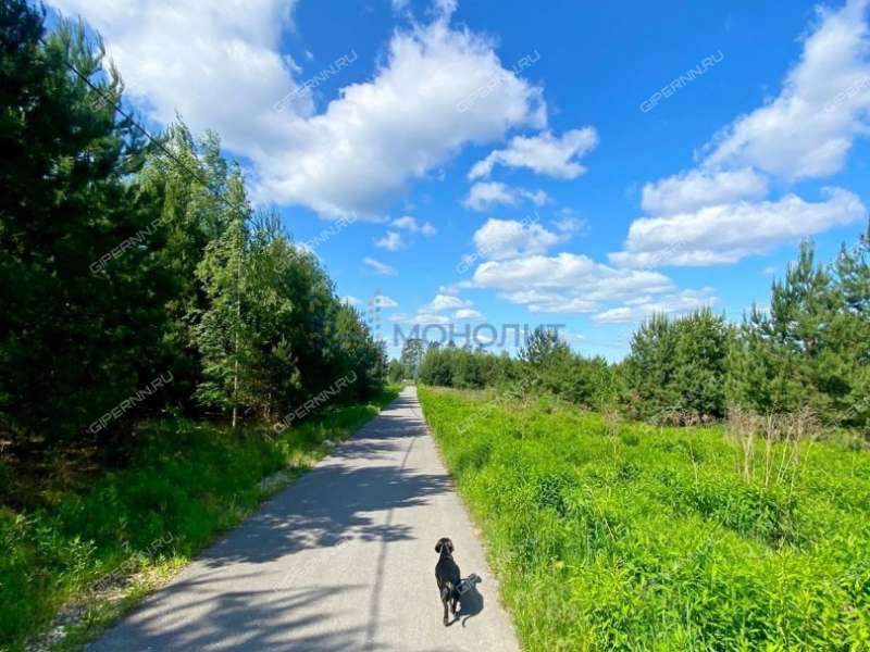 земельный участок 20 соток - деревня Фалино-Пестово