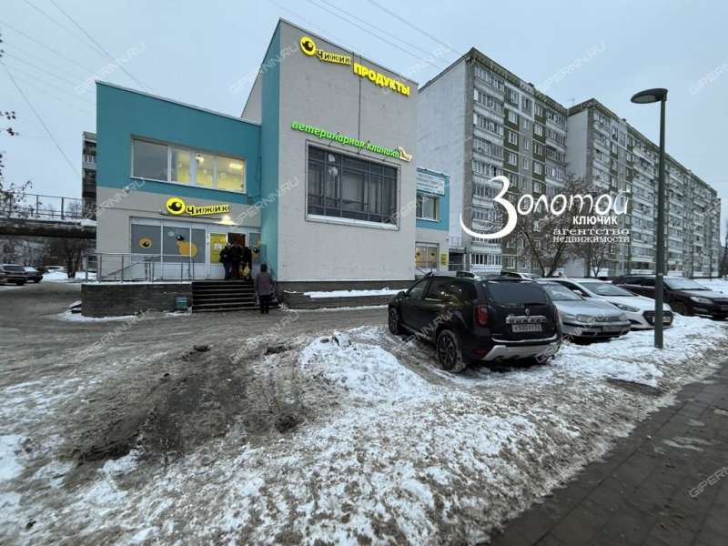 трёхкомнатная квартира на улице Челюскинцев дом 19