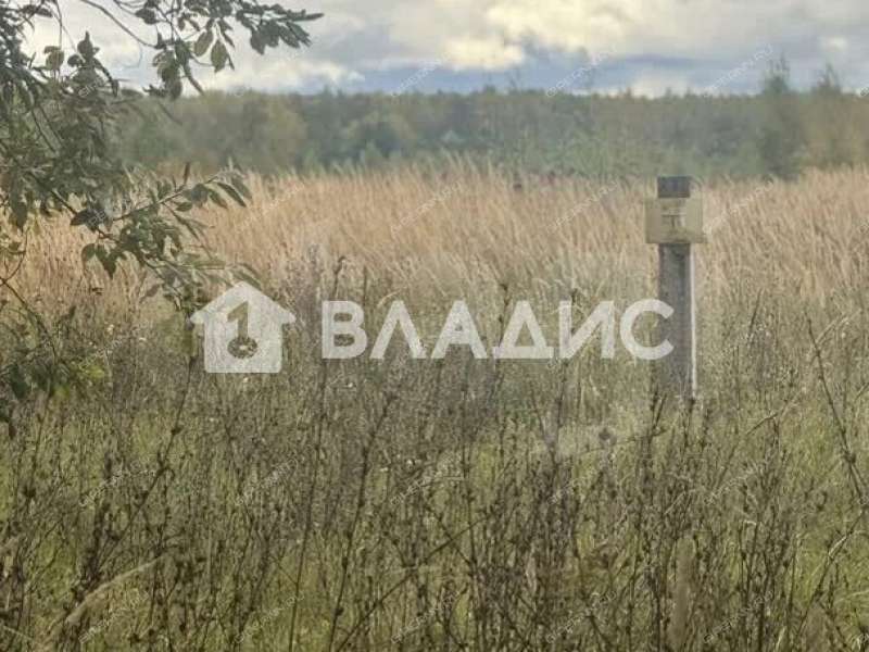 земельный участок 9,7 сотки Приозёрная улица село Афанасьево