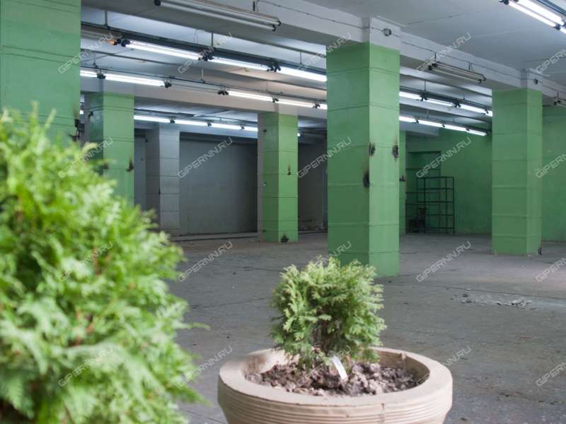 помещение под помещение свободного назначения, недвижимость под образовательные учреждения на Рождественской улице