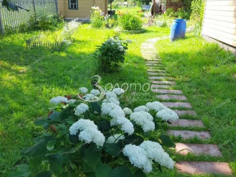 дом на Хмельничное деревня Хмельничное