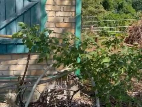 dacha-derevnya-malye-mogilcy-balahninskiy-municipalnyy-okrug фото