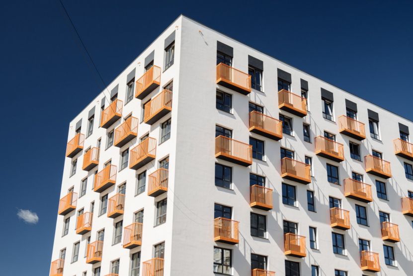 Фото: Злата Осетрова / domostroynn.ru