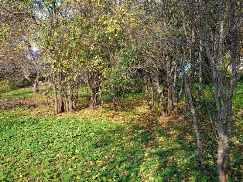 земельный участок 12,6 сотки Нижегородская область, Бор, ТСН Труд, 76 город Бор