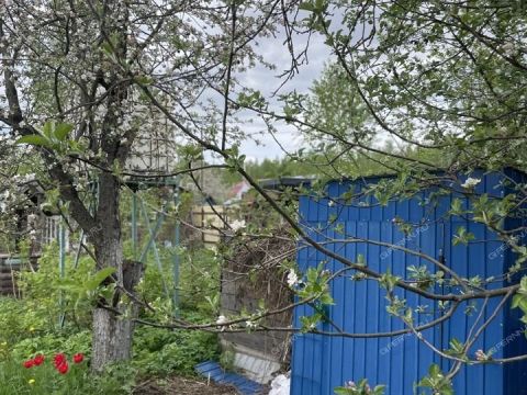 dacha-sortirovka фото