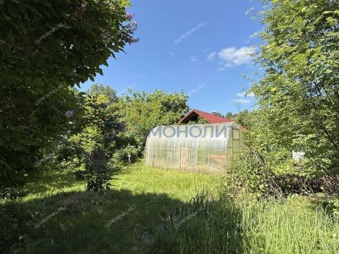 dacha-derevnya-rekshino-gorodskoy-okrug-bor фото