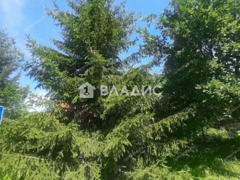 dom-dpk-malinovo-gorodskoy-okrug-chkalovsk фото