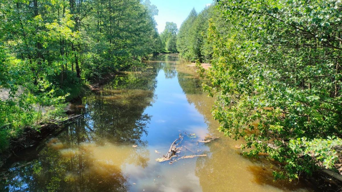 Три водоема в Нижегородской области хотят расчистить по новому нацпроекту