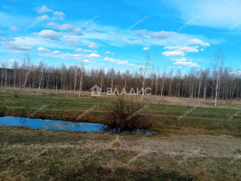 земельный участок 110 соток деревня Инютино