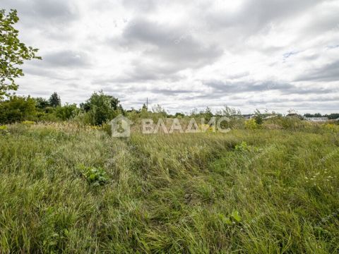 derevnya-prudy-bogorodskiy-municipalnyy-okrug фото