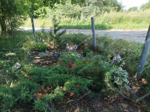 dom-selo-simbiley-dalnekonstantinovskiy-rayon фото