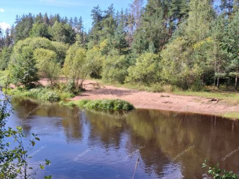 dacha-gorod-arzamas-arzamasskiy-rayon фото