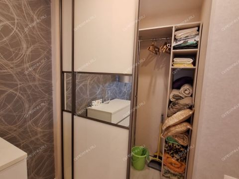 1-komnatnaya-derevnya-afonino-kstovskiy-rayon фото