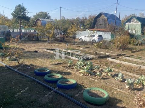 dacha-rabochiy-poselok-doschatoe-gorodskoy-okrug-vyksa фото