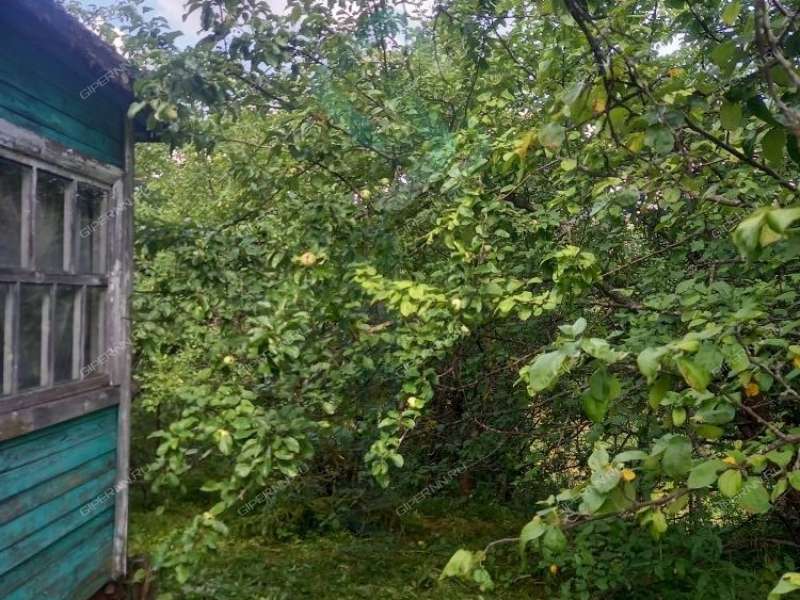 дача на СНТ Дружба