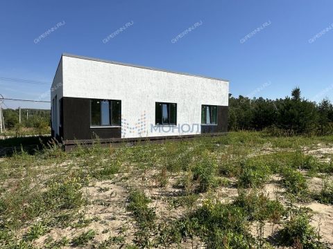 dom-derevnya-berezovka-bogorodskiy-municipalnyy-okrug фото