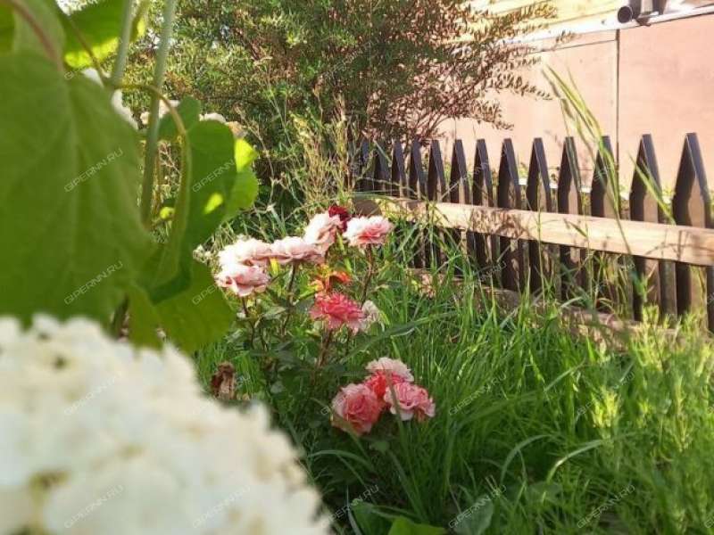 дом на Луговая КП Яблоньки на Троце