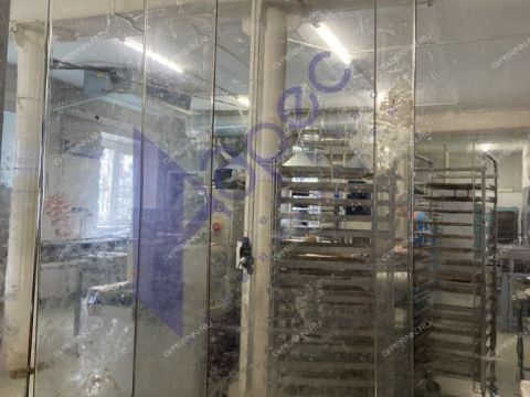 ul-shalyapina-d-2g фото