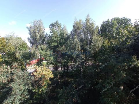 2-komnatnaya-gorod-pavlovo-pavlovskiy-municipalnyy-okrug фото