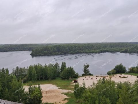 1-komnatnaya-ul-arhangelskaya-d-16 фото