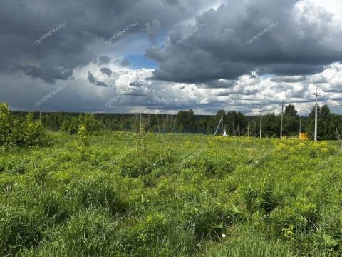 derevnya-kileley-bogorodskiy-municipalnyy-okrug фото