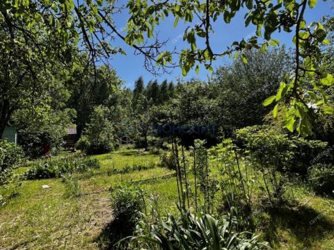dacha-derevnya-strahovo-sitnikovskiy-selsovet-gorodskoy-okrug-bor фото